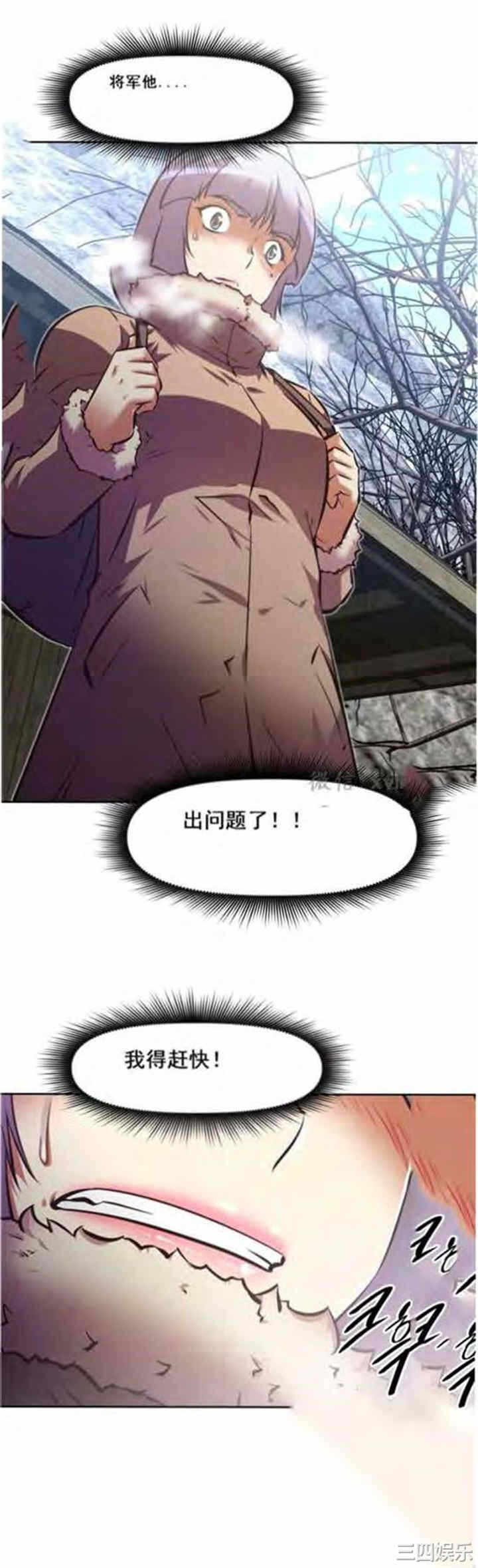 第29张