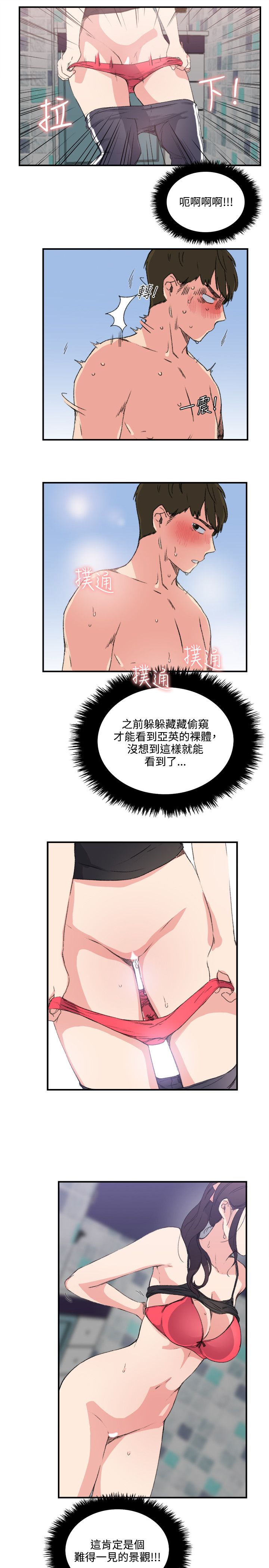 第17张