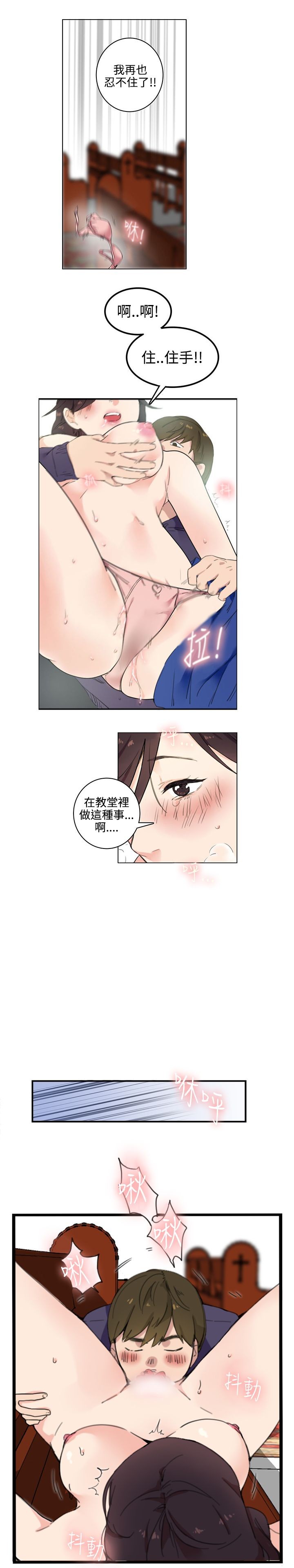 第17张