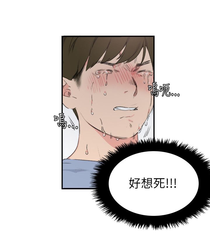 第4张