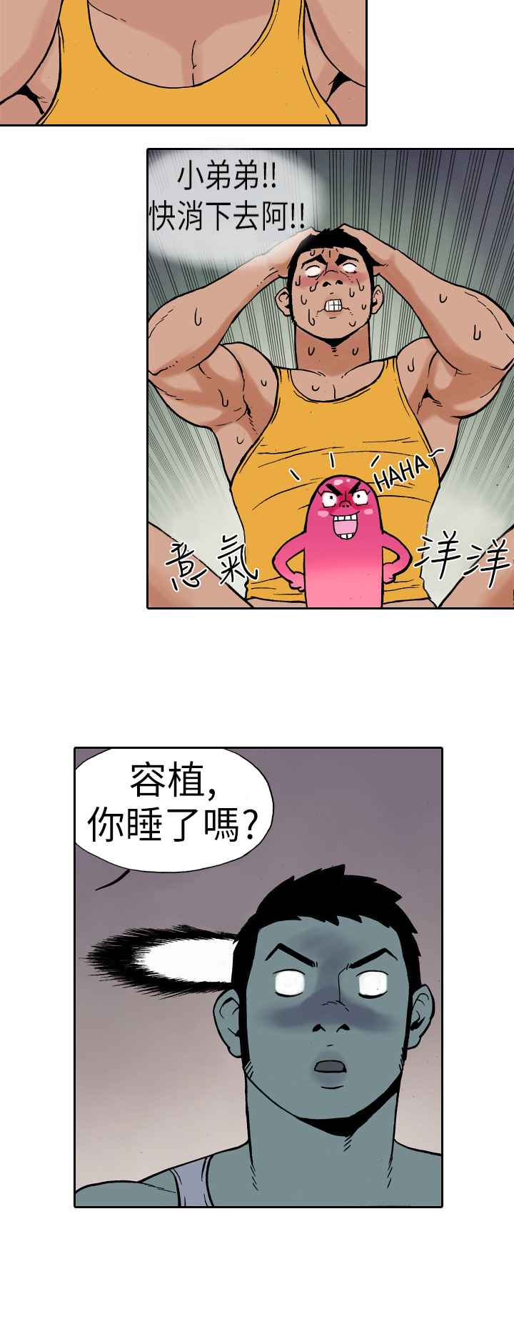 4.jpg