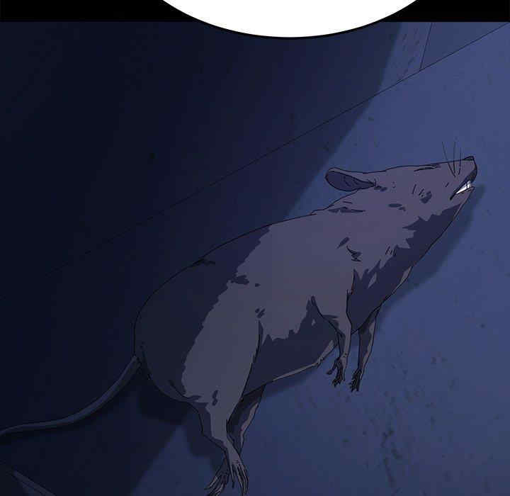 第45张