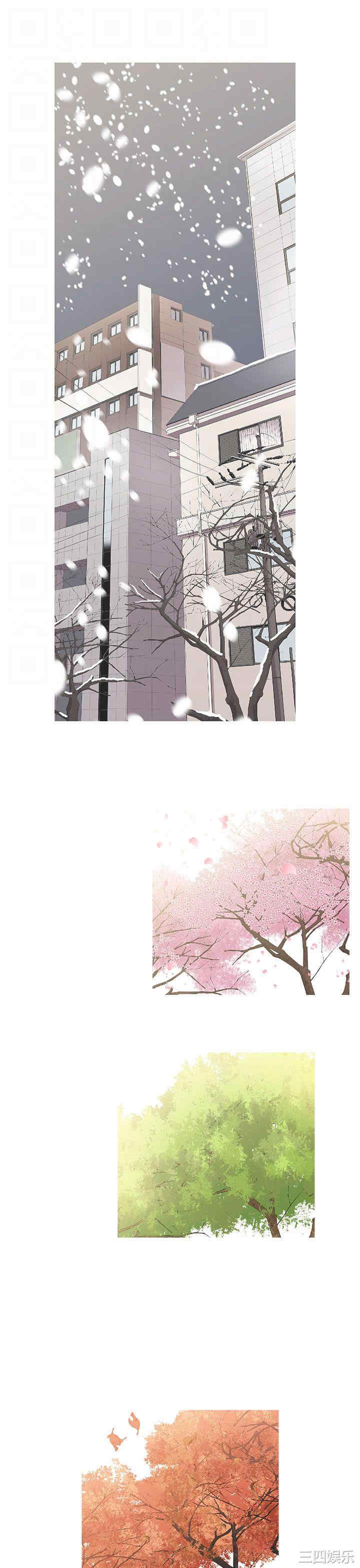 第16张