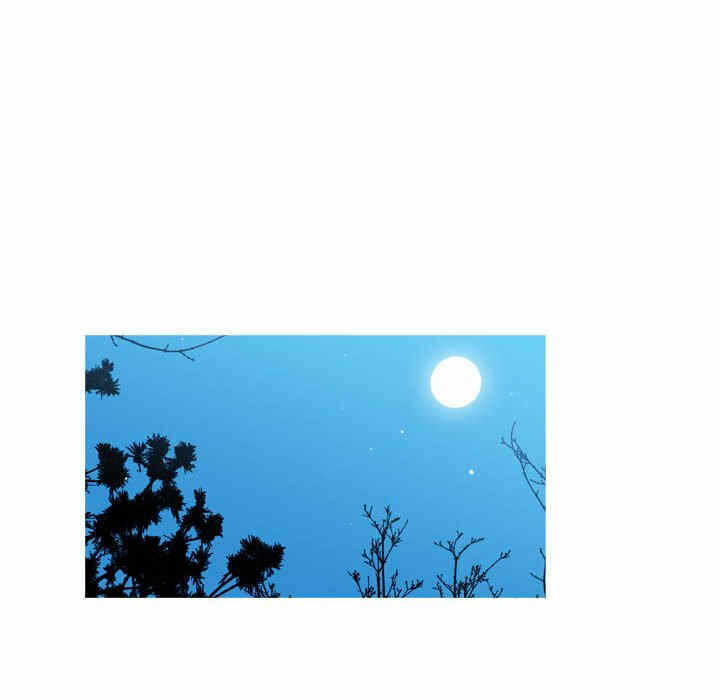第65张