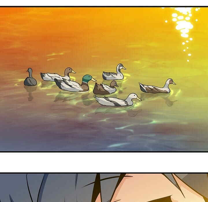 第13张