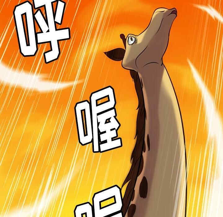 第58张