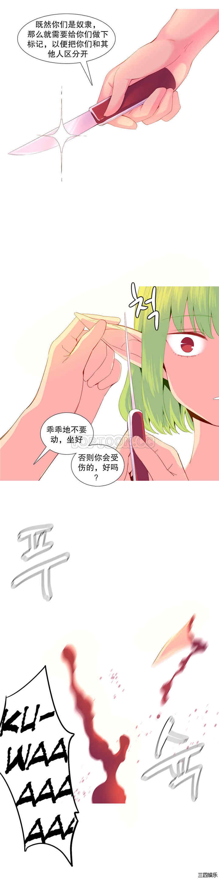 第19张