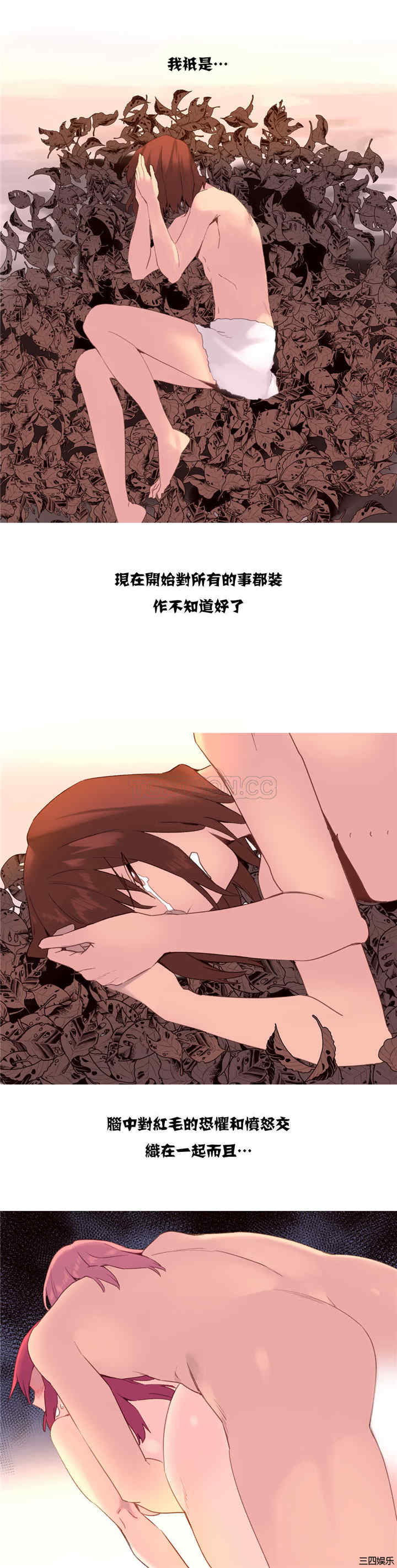 17.jpg
