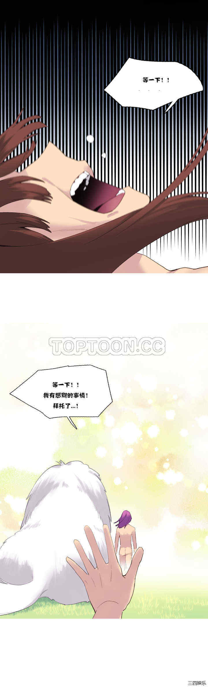 第20张