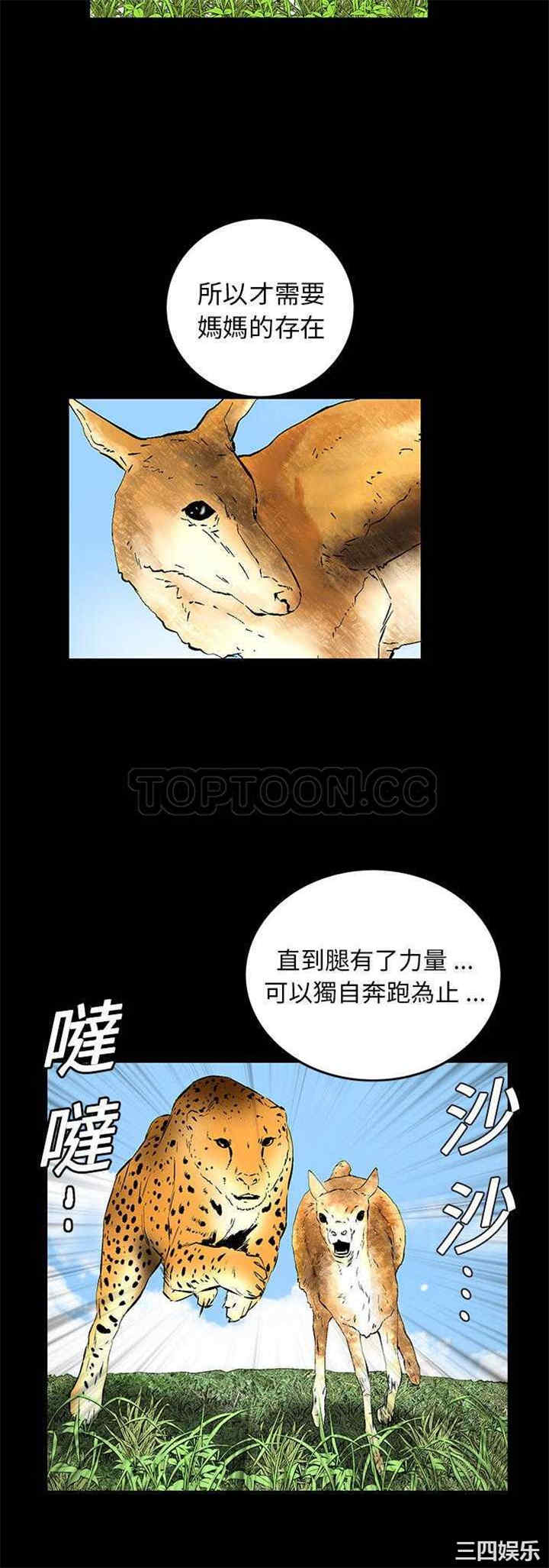 第25张