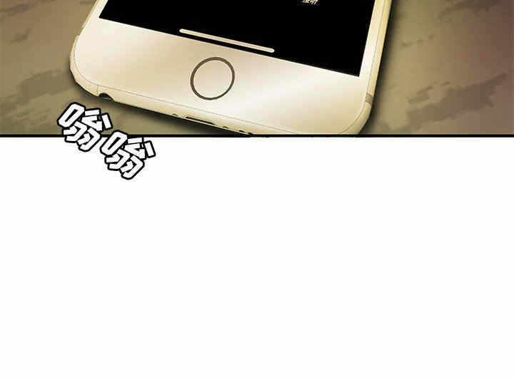第61张