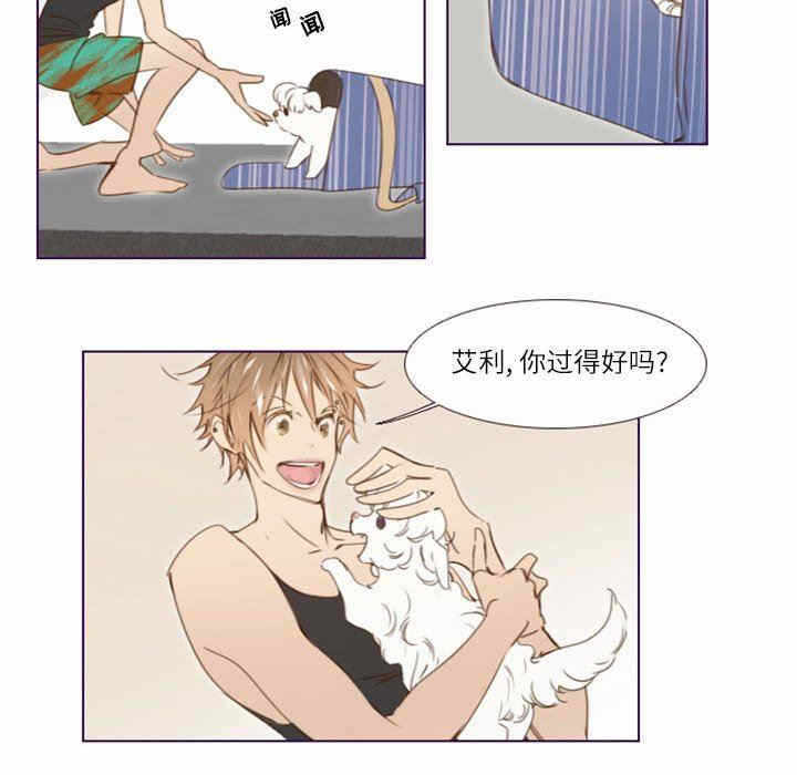 第8张