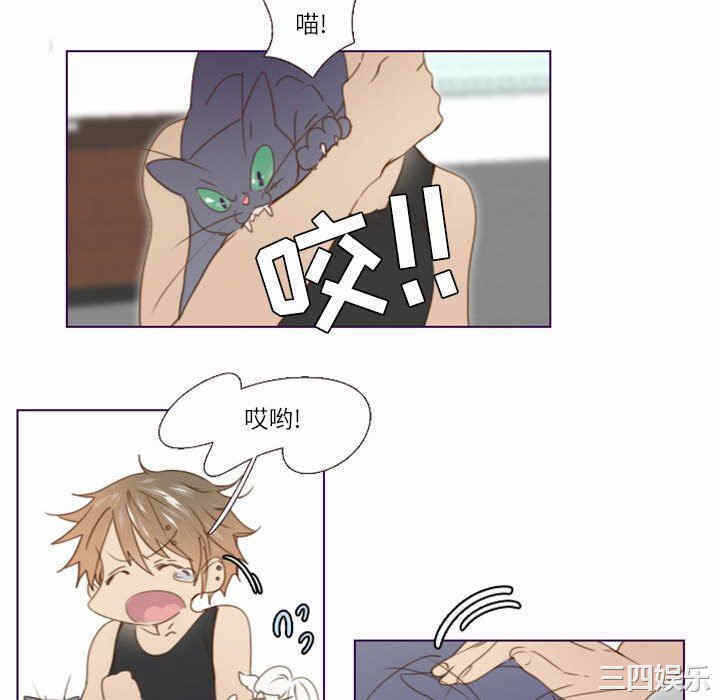 第10张