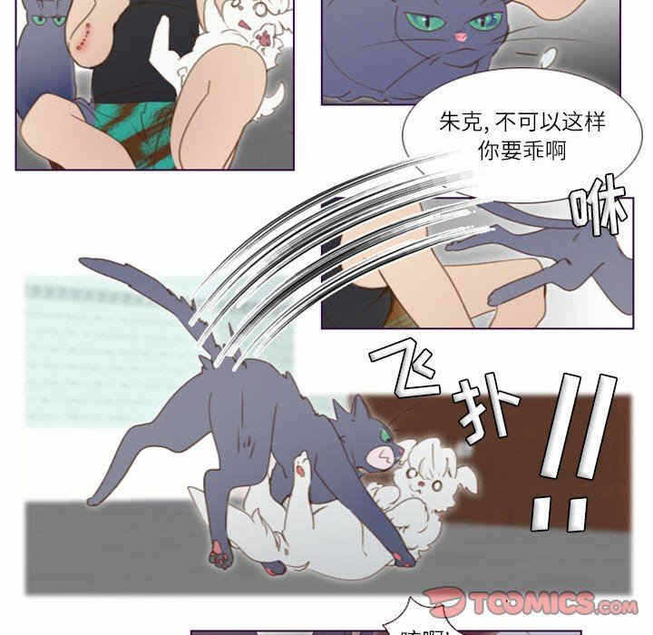 第11张
