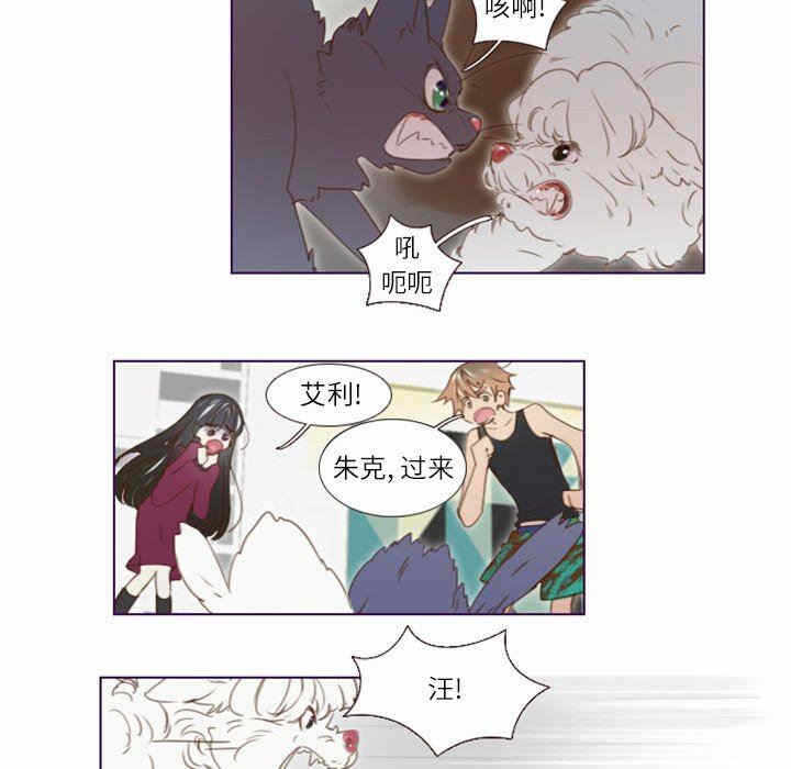第12张