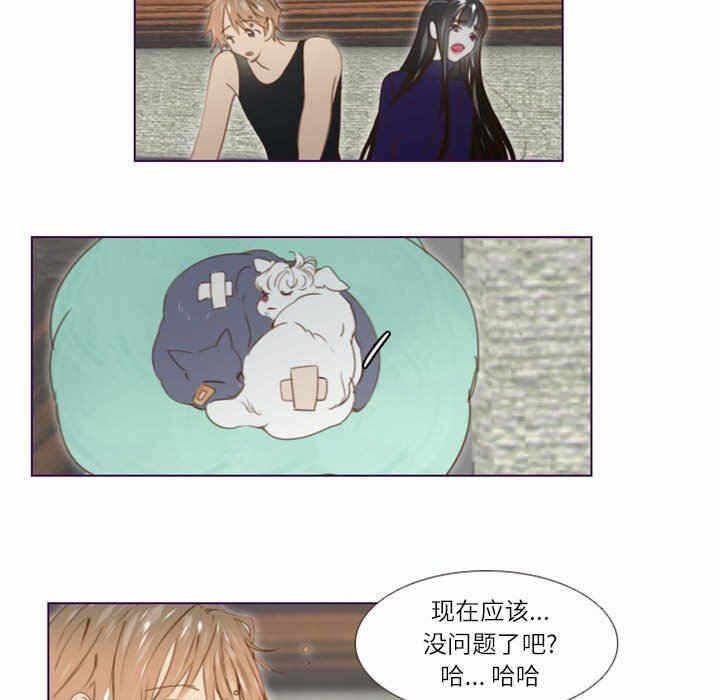 第14张