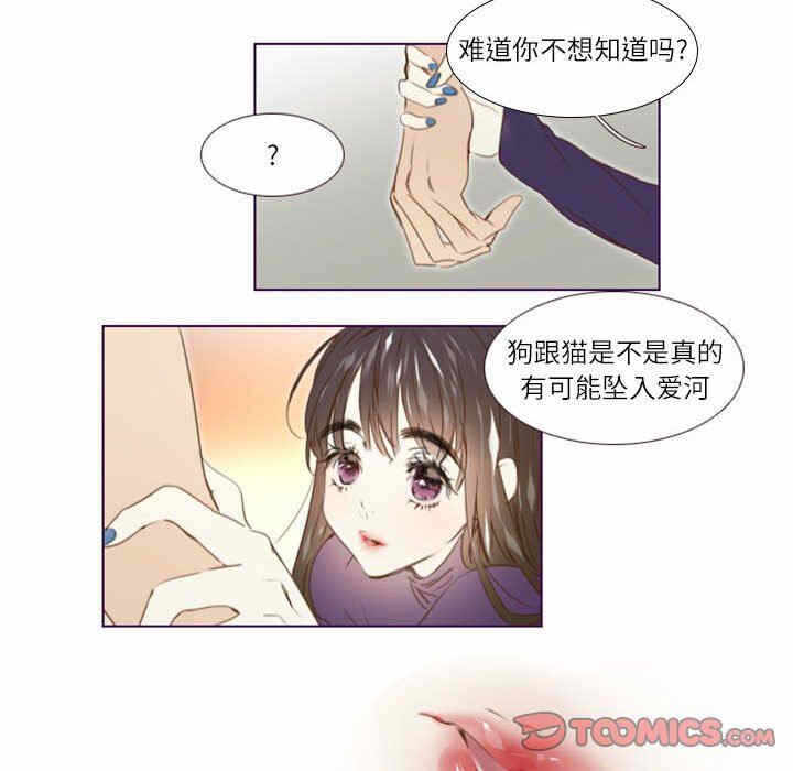 第17张
