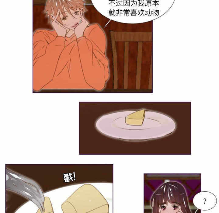 第20张