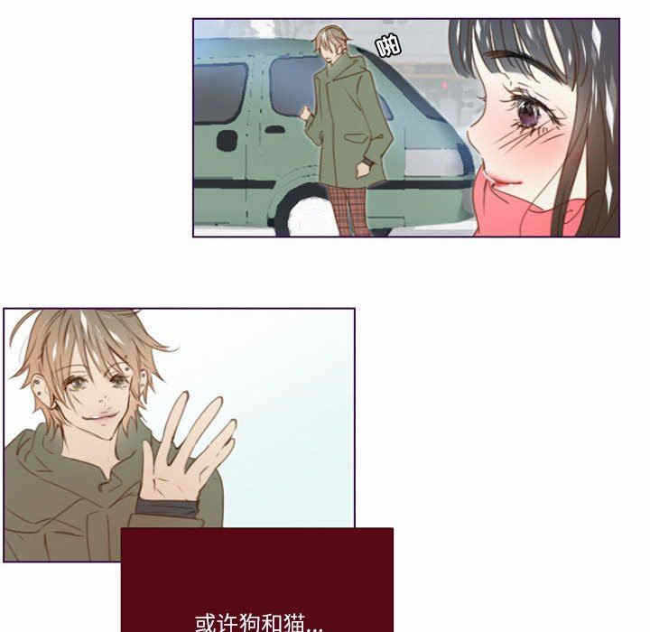 第42张