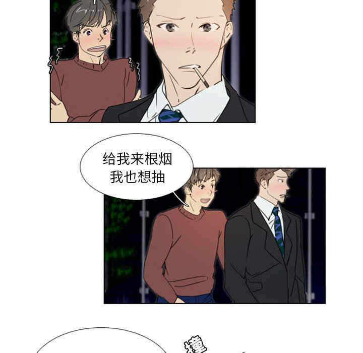 第41张