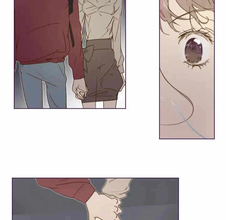 第41张