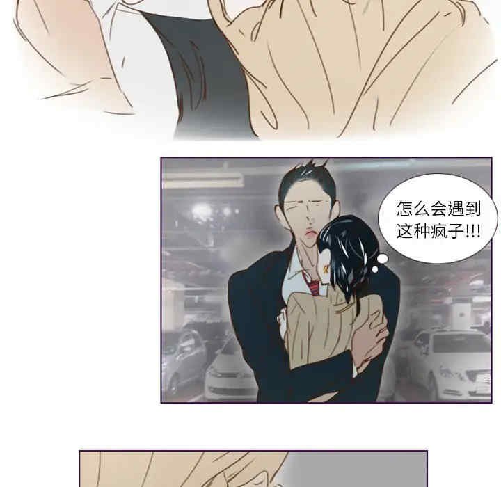 第17张