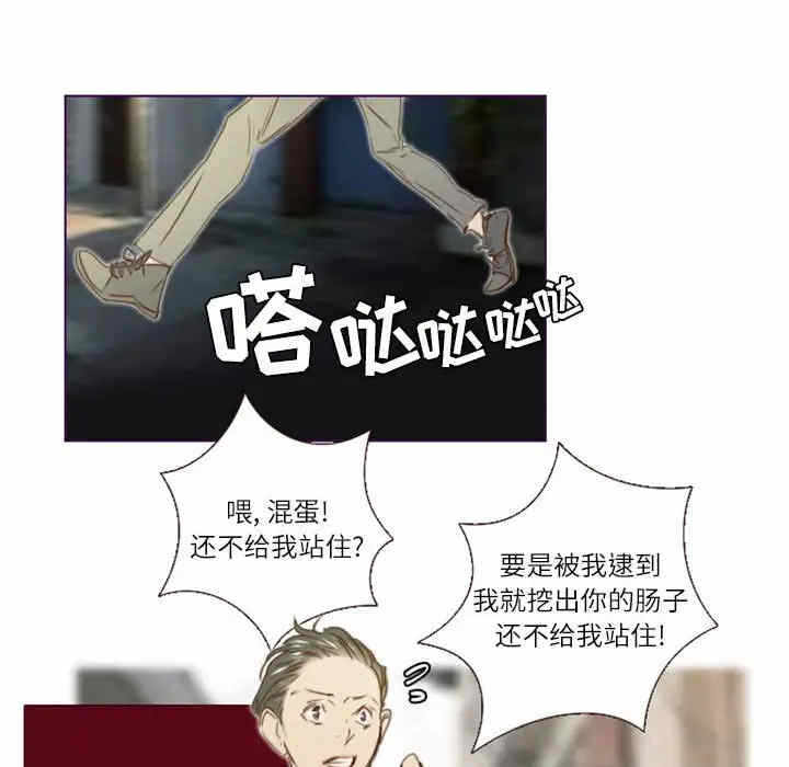 第31张