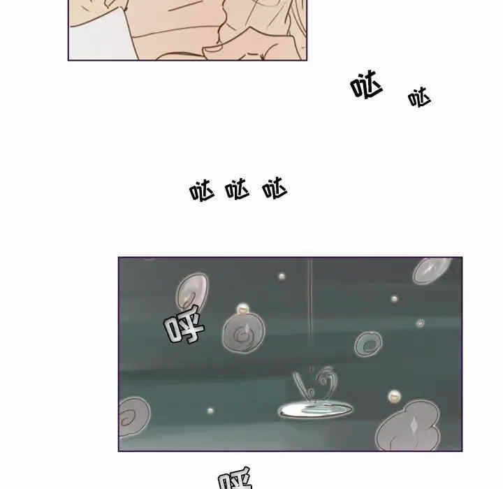 第37张