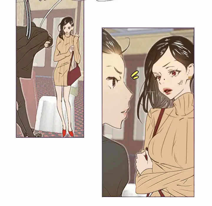 第41张