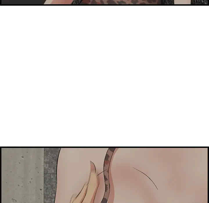 第17张