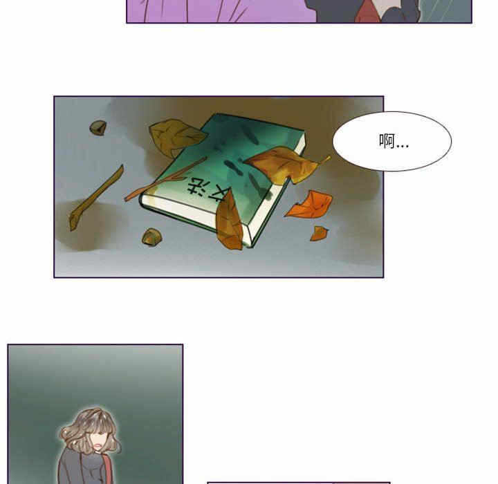第30张