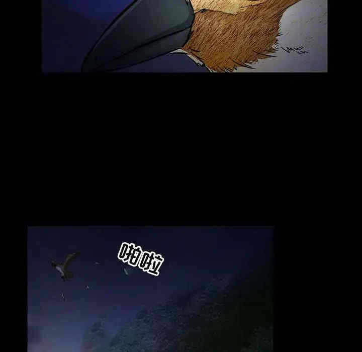 第52张