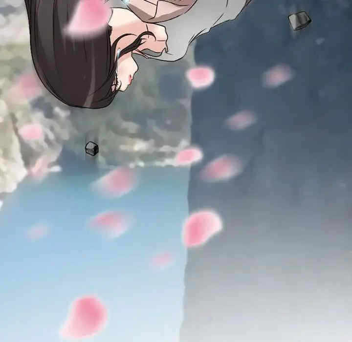 第6张