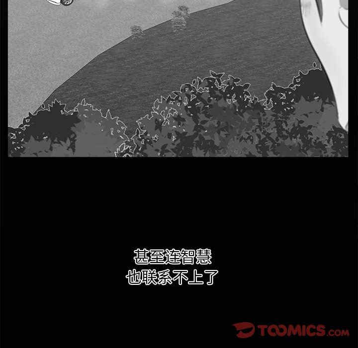 第17张