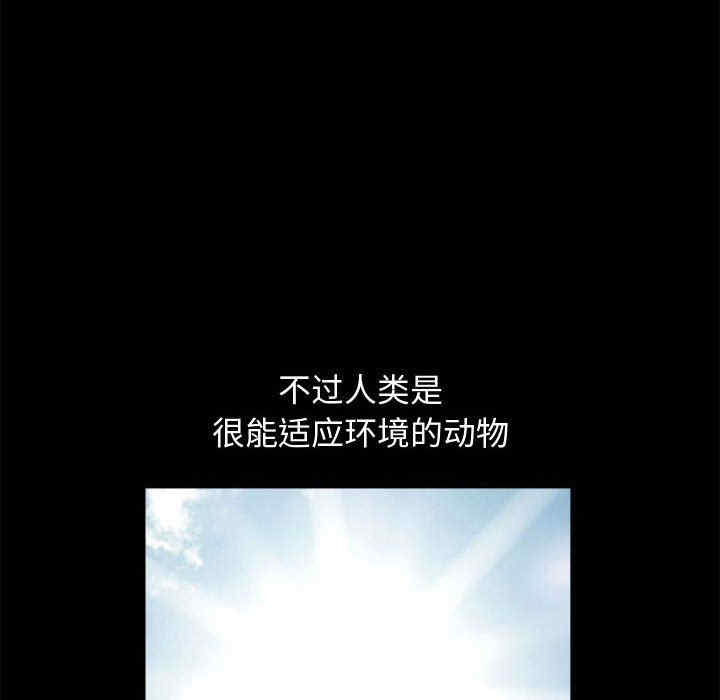 第91张