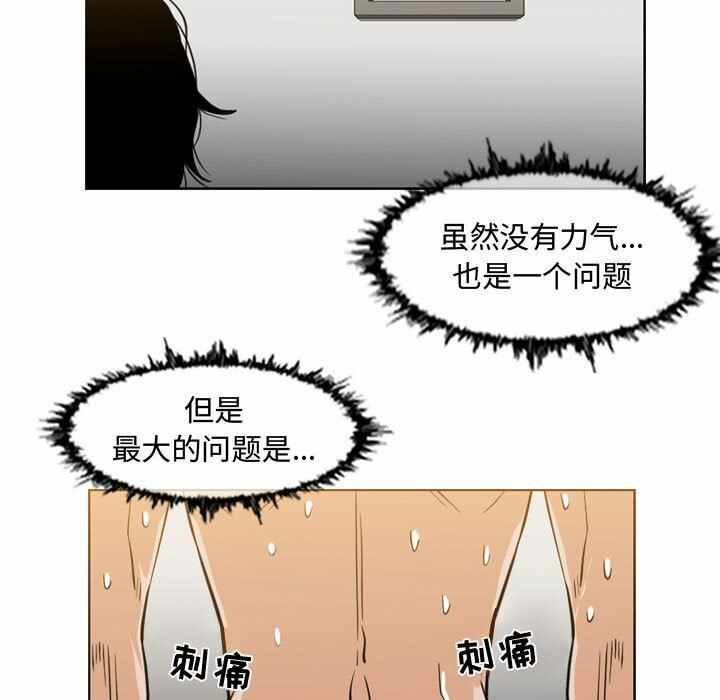 第31张