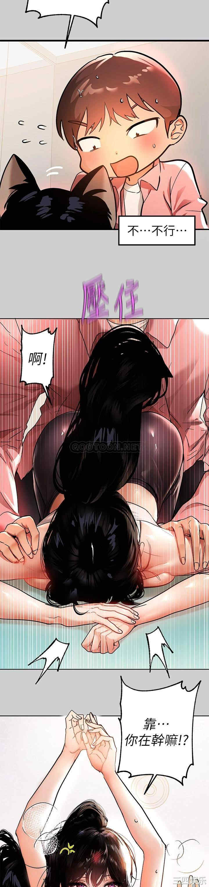 第3张