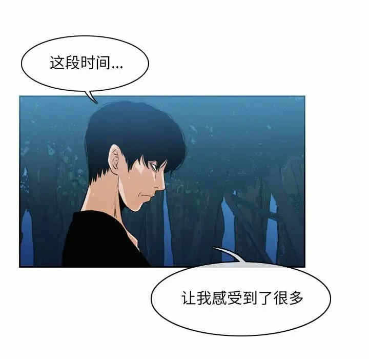 第53张