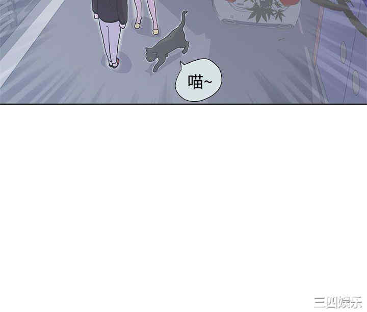 第13张