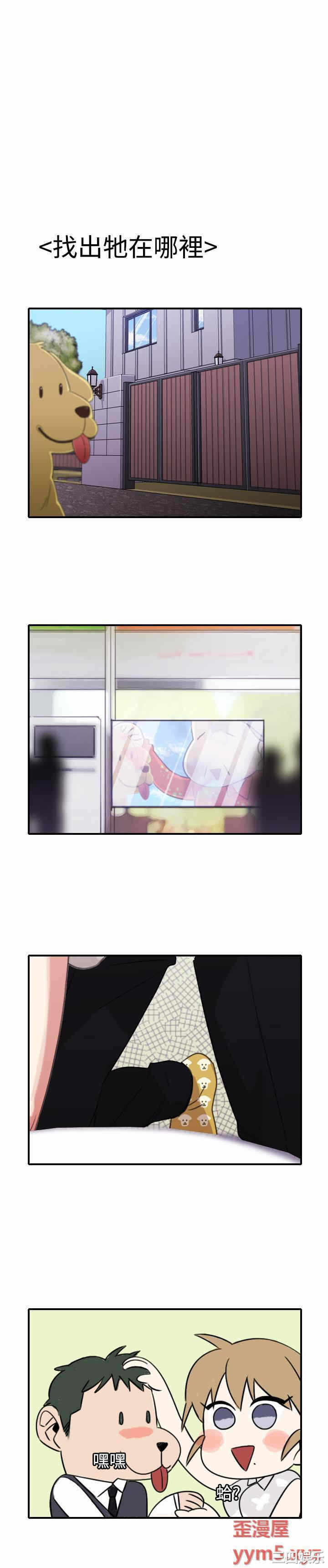 第26张