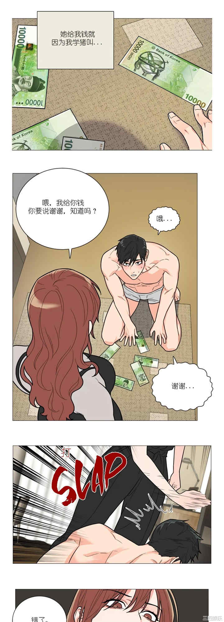 第21张