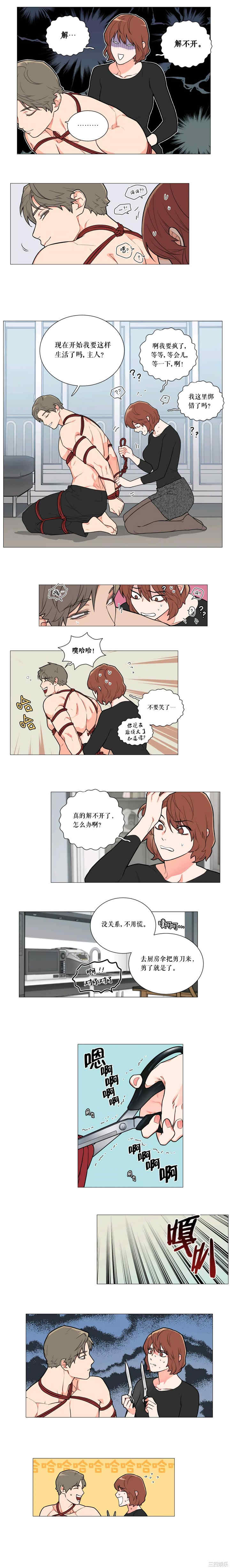 第5张