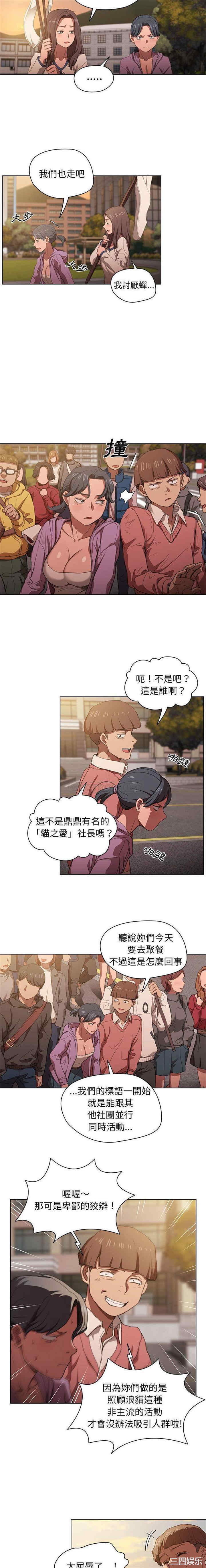 第13张