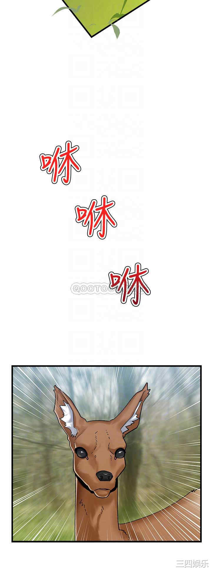 第5张