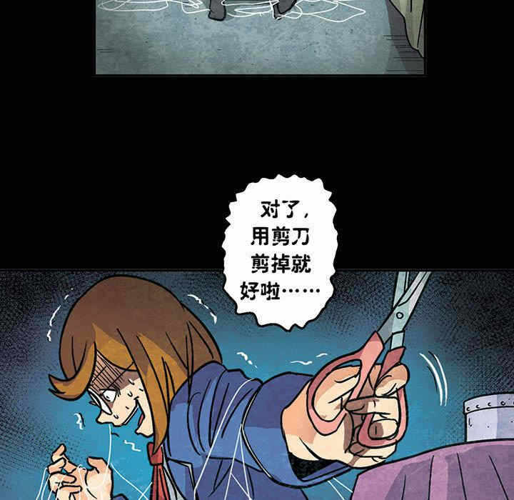 第9张