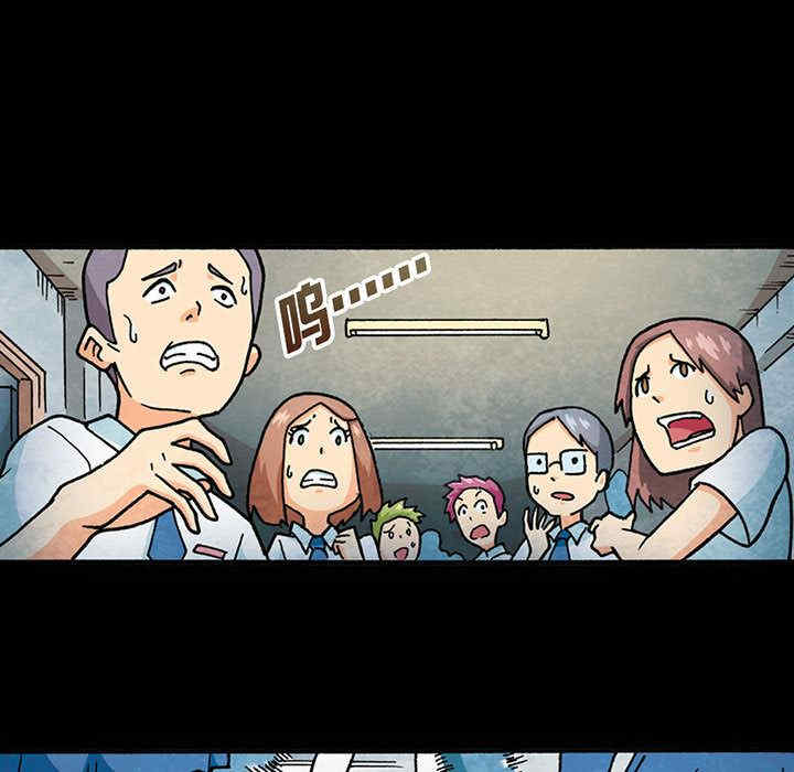 第13张