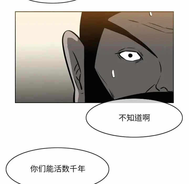 第41张
