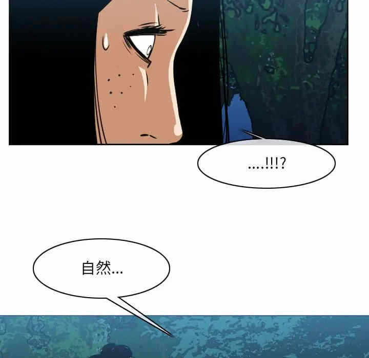 第48张