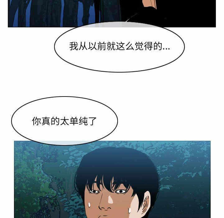 第51张