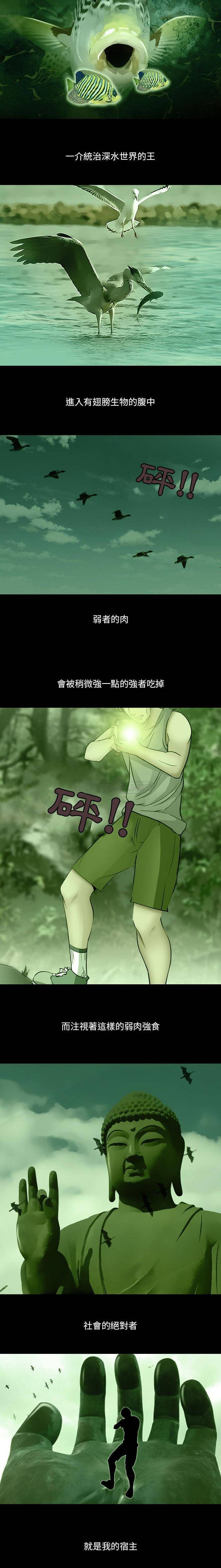 第21张
